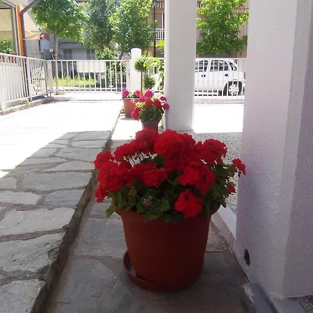 Dimitra's Apartment Olympiaki Akti