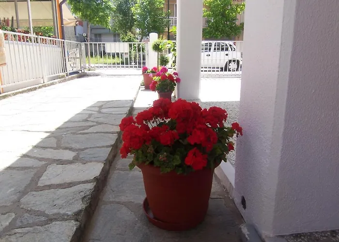 Dimitra's Apartamento Olympiakí Aktí